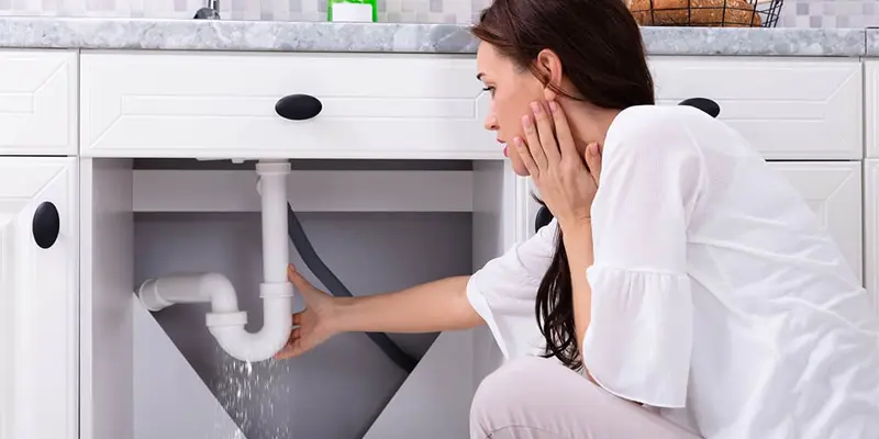 Experiencing Plumbing Problems in Kings River Experiencing Plumbing Problems in Kings River