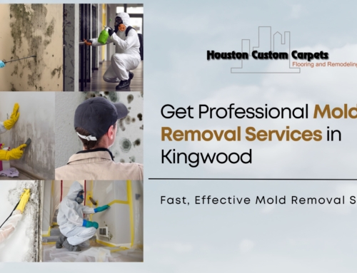 Where to Get Professional Mold Removal Services in Kingwood?